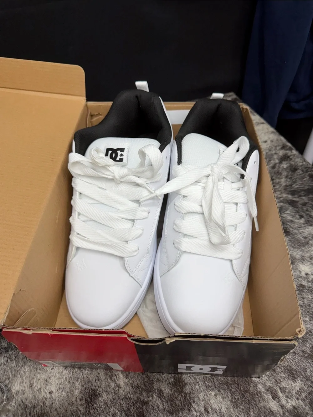 DC Low-Top Skate Shoes in White and Black